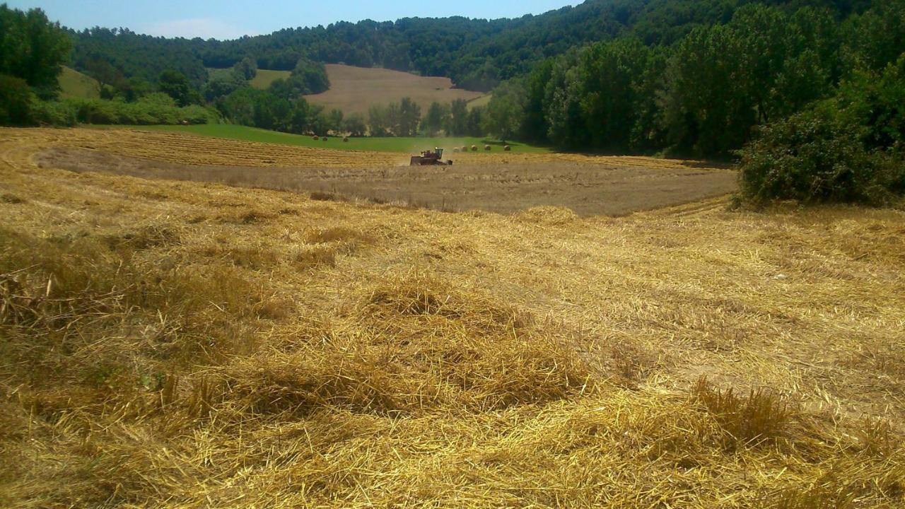 Borgodoro - Natural Retreat Magliano Sabina Bagian luar foto
